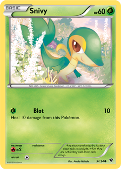 Common Pokémon card Snivy 5/124 from Fates Collide expansion