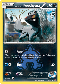 Team Aqua's Poochyena 16/34 Pokémon card from Double Crisis for sale at best price