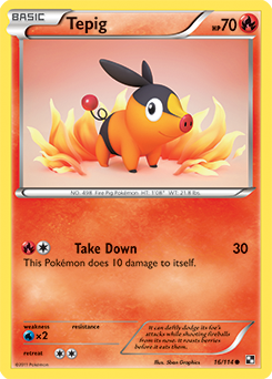 Common Pokémon card Tepig 16/114 from Black & White expansion