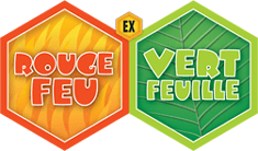 Cartes Pokémon Ex Rouge Feu Vert Feuille en vente au meilleur prix